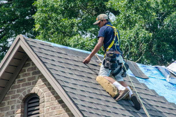 Best Roof Gutter Cleaning  in Salem, IN